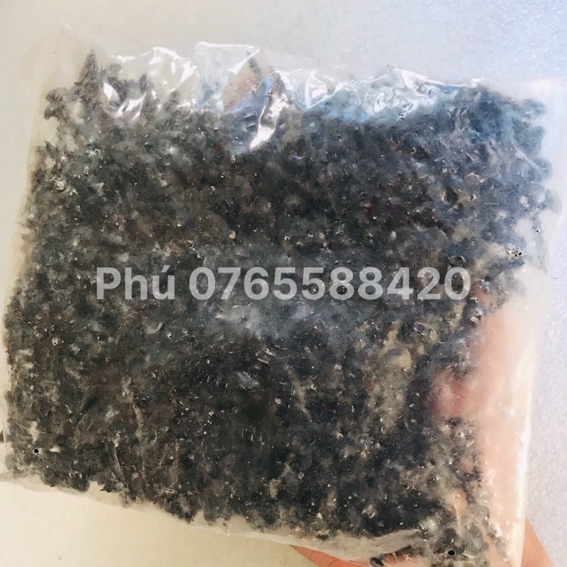 Vít bắt loa nhập khẩu Taiwan ren xoắn sơn tĩnh điện ko rỉ sét
