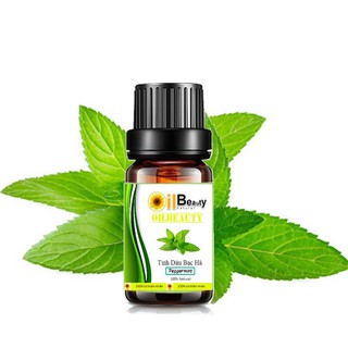 Tinh Dầu Bạc Hà Nguyên Chất Oilbeauty 10ml