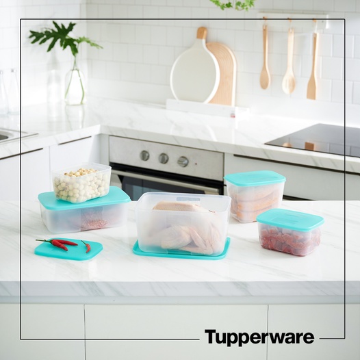 Bộ hộp Trữ đông Tupperware Paradise 5 hộp