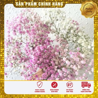 Bộ gói hạt giống Baby mix
