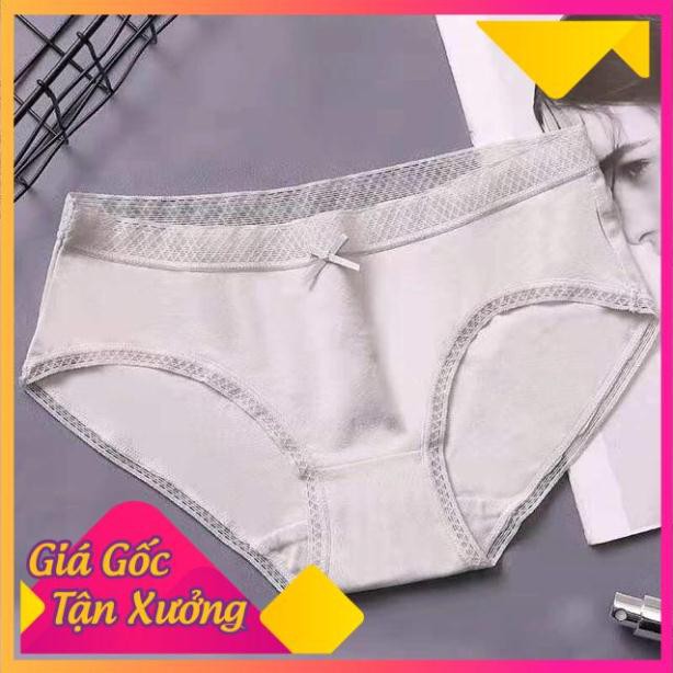 [SIÊU SALE] Quần Lót Cạp Lưới Cao Cấp