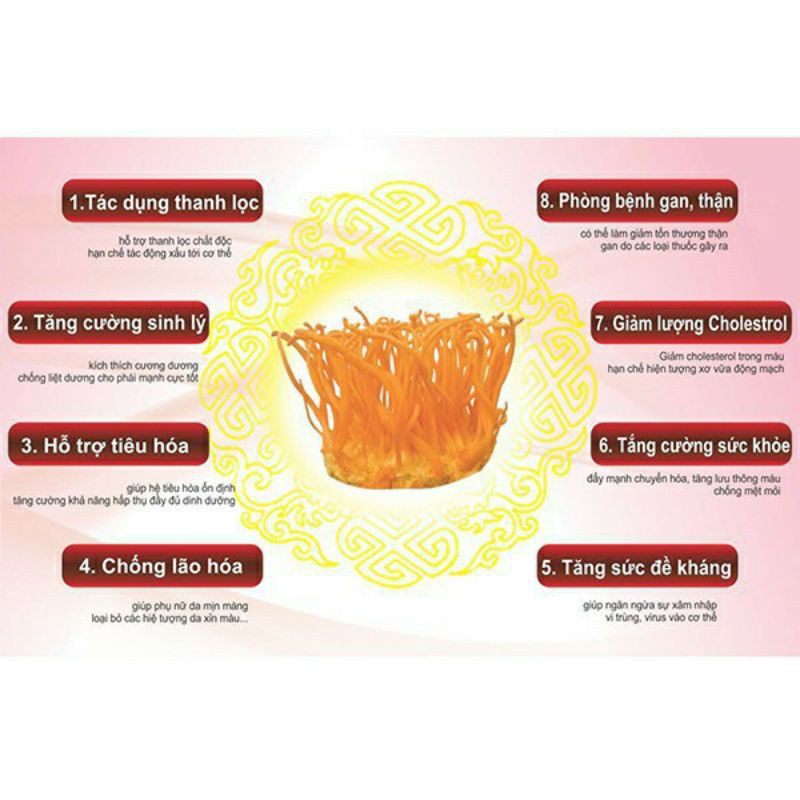 Bông Đông Trùng Thảo. Kim trùng thảo Loại 1. Gói 100gr 🥣 Nấu chè dưỡng nhan, hầm canh, nhúng lẩu