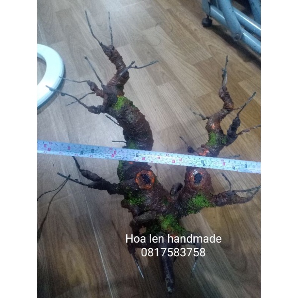 Gốc bonsai 2 nhánh làm hoa mai, hoa đào