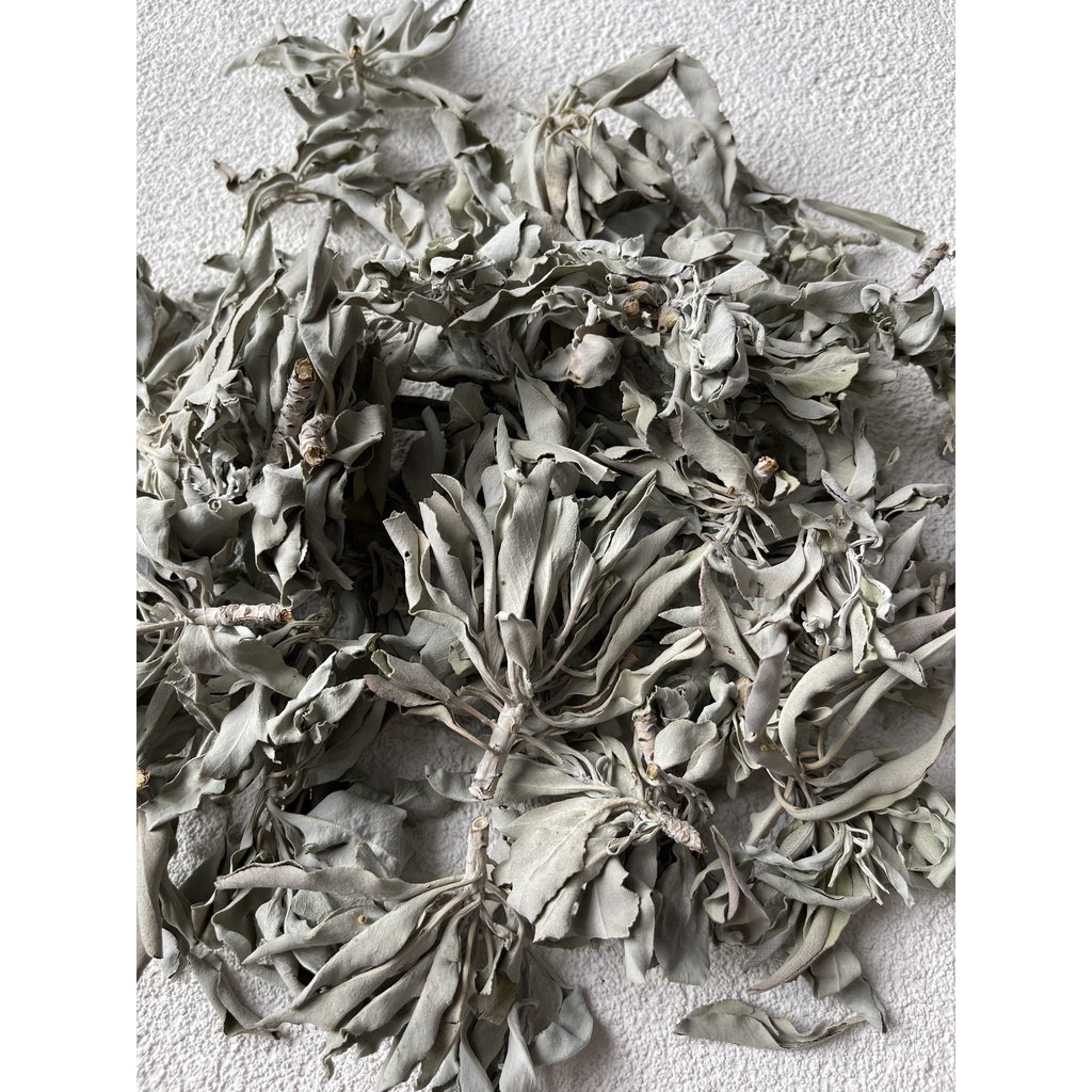 Lá Xô thơm trắng (white sage) thanh tẩy không gian, xông nhà, phong thủy, bài tarot, reiki, healing,thiền định