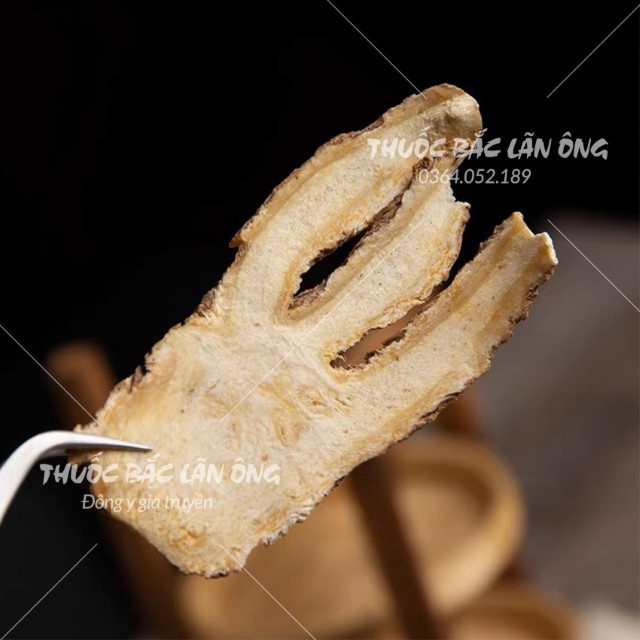 Đương Quy Thái Lát 200g (Quy Ngố)