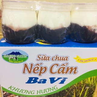 Sữa chua nếp cẩm Ba Vì