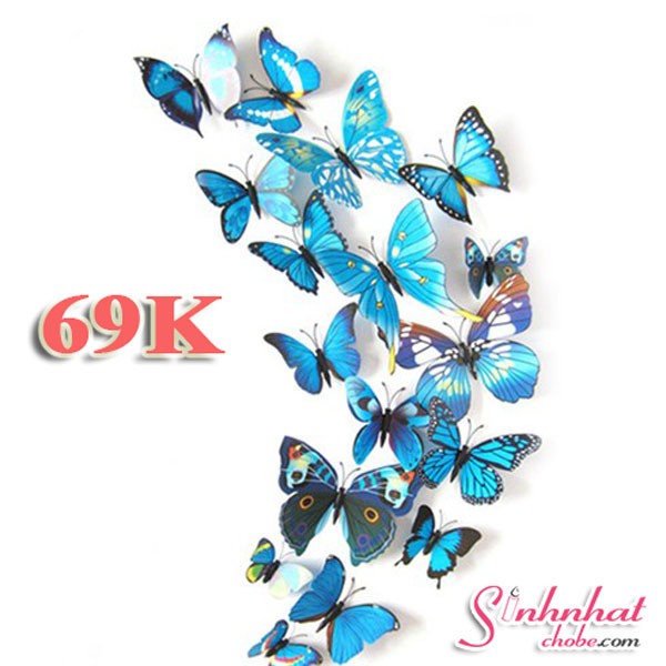 Combo 18 Bướm 3D trang trí phòng khách cực đẹp