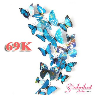 Combo 18 Bướm 3D trang trí phòng khách cực đẹp
