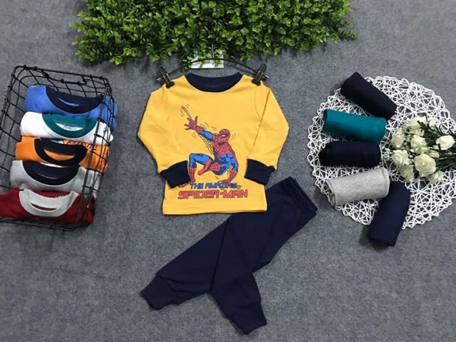 Bộ bozip/borip dài tay vnxk màu vàng 8-21 kg ( hình thật )