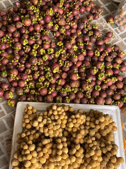 Sỉ 5kg Măng Cụt Long Khánh Đồng Nai