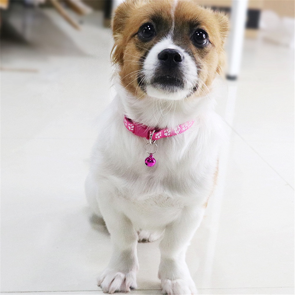Vòng Cổ Dễ Thương Cho Thú Cưng