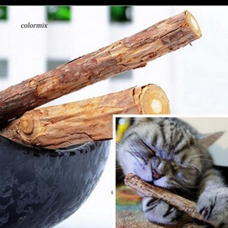 Que nhai tự nhiên phủ catnip giúp mèo làm sạch răng