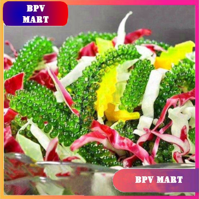 Rong Nho Tách Nước Khánh Hoà 25Gr - [FREESHIP] - Công Nghệ Tách Nước Tiêu Chuẩn Nhật Bản | BigBuy360 - bigbuy360.vn