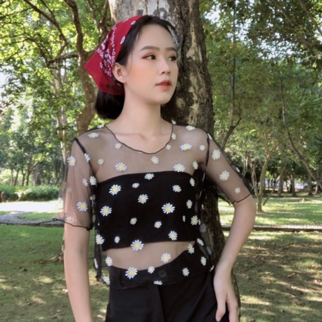 Set Áo Hoa cúc