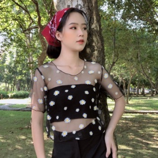 Set áo hoa cúc