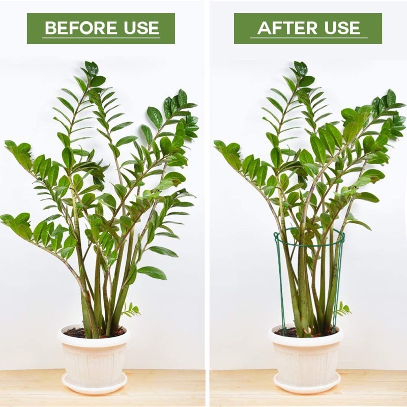 khung đỡ cây hoa cây cảnh tạo dáng cây