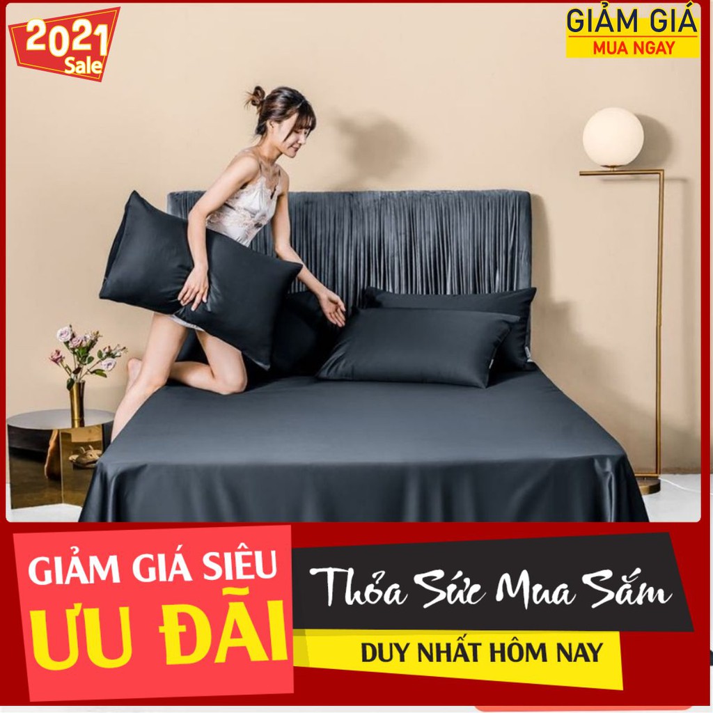 [siêu giảm giá] set ga gối lụa 60s cao cấp, sang trọng 04