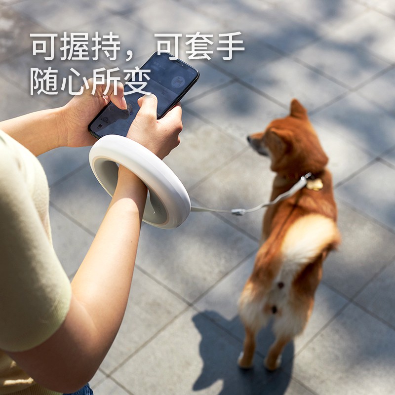 Bán trướcↂMạnh Wang Xing UFO Dây kéo Kính thiên văn Chó nhỏ Tedi Dog Golden Chuỗi vật nuôi