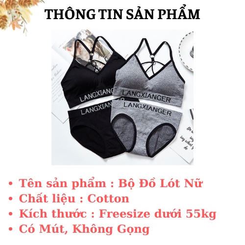 Áo Ngực Quần Lót Nữ Cotton 💖FREESHIP💖 Bộ Đồ Lót Nữ Cao Cấp - Quần Chíp Áo Ngực Không Gọng AMYBRA 3349 | BigBuy360 - bigbuy360.vn