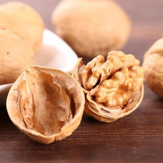 [SP] QUẢ ÓC CHÓ mỏng vỏ - Nhân Vàng - 500G