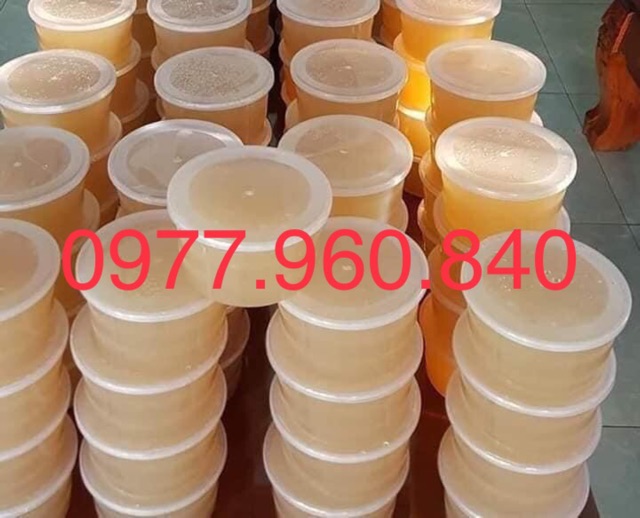 1KG RONG BIỂN RAU CÂU CHỈ VÀNG LOẠI 1 SẠCH KHÔNG TẨY QUẢNG NGÃI NẤU XU XOA | BigBuy360 - bigbuy360.vn