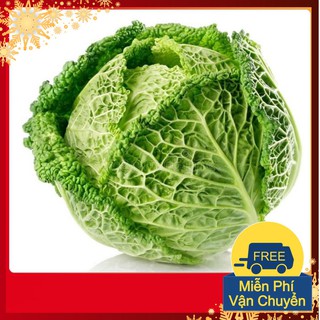 Hạt Giống Bắp Cải Nhăn
