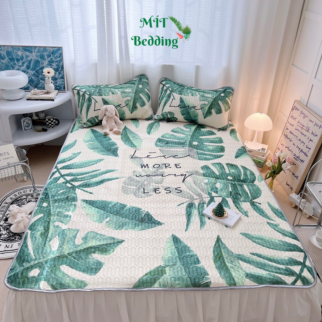 Chiếu điều hoà, chiếu cao su non 5D thường siêu cấp êm mát (mẫu y hình)