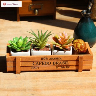 Chậu gỗ trồng cây cảnh mini để bàn tiện dụng