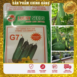 Bộ gói hạt giống Dưa chuột thái