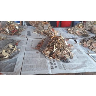 Đông y gia truyền