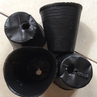 1 lạng túi bầu ươm cây chọn size