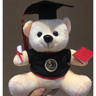Gấu bông tốt nghiệp gấu cử nhân 20cm