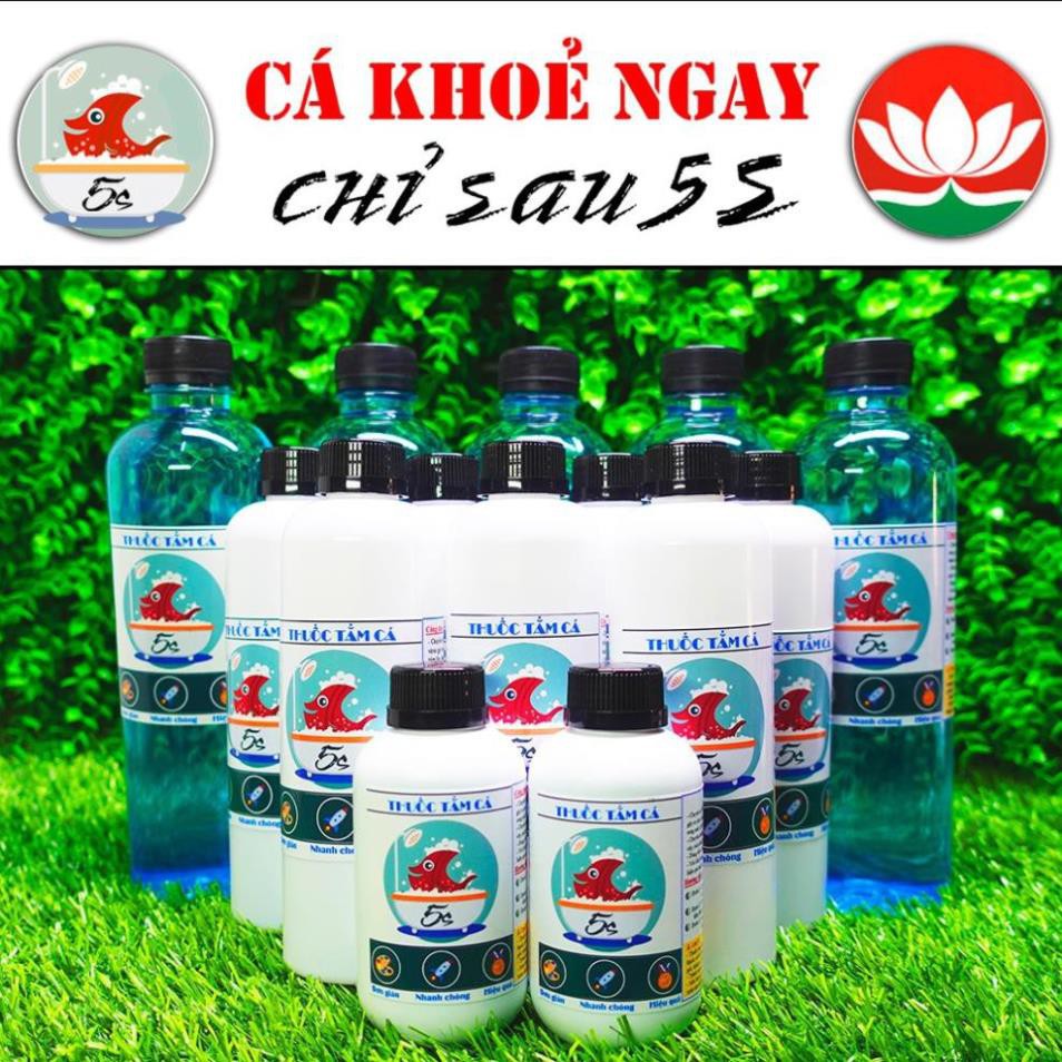 Cá Khoẻ Ngay, Chỉ Sau 5s - Tắm Cá 5s