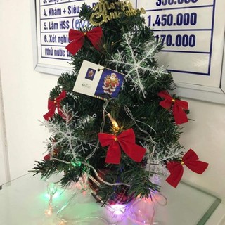 Cây thông noel mini