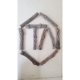 Lũa CHOLLA (15 X 2CM)