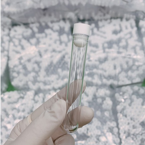 Combo 100 ống nghiệm 5ml chiết mỹ phẩm