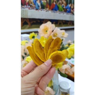 [HÀNG MỚI VỀ] Nấm Thượng Hoàng Hàn Quốc 500gr [HỘP QUÀ BIẾU SANG TRỌNG]