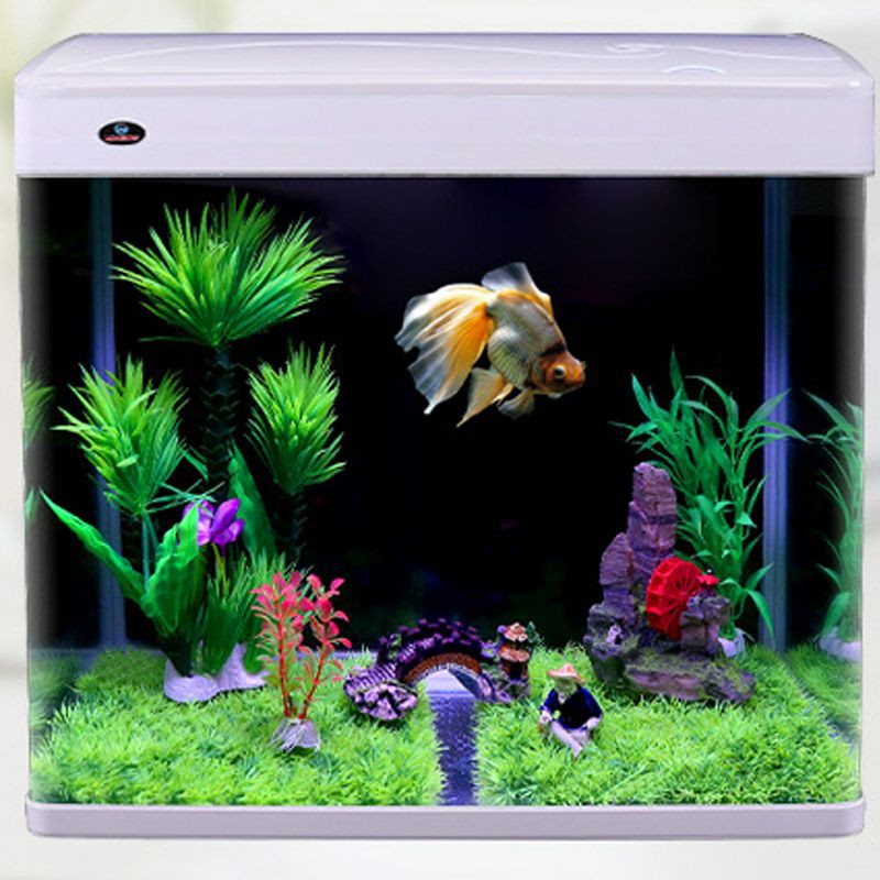 Bể đúc MJ - 260  &  MJ -268