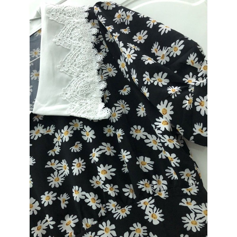 Váy hoa cúc hoạ mi