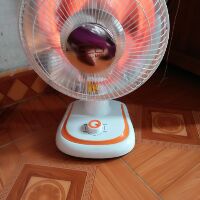 Quạt sưởi geo korea