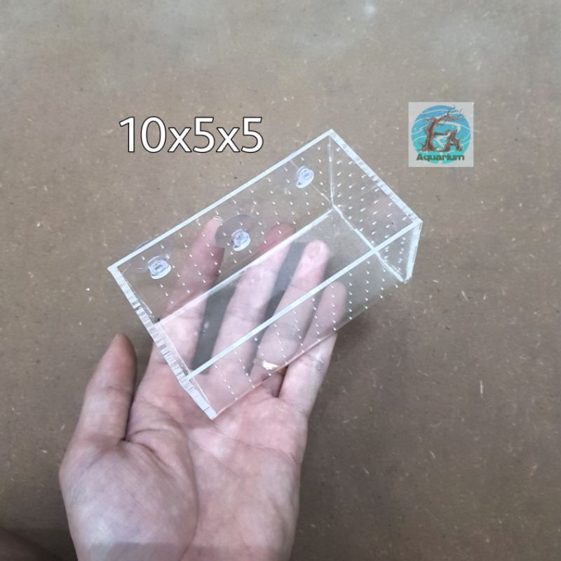 Box/hộp trồng cây Acrylic