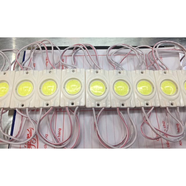 Led hắt COB 12v siêu sáng (20 bóng/1 dây)