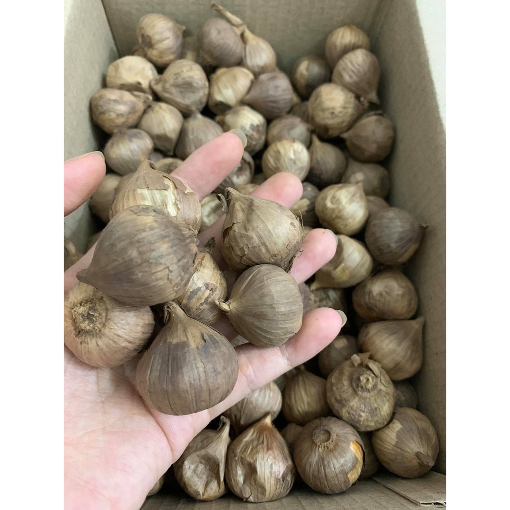 (1KG Giá Xưởng) Tỏi đen cô đơn Thiên Phúc Group CN Nhật Bản Sấy Lạnh | BigBuy360 - bigbuy360.vn