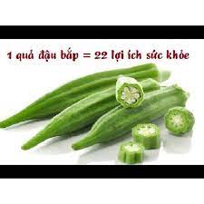 Hạt giống Đậu Bắp Quả Xanh/ quả đỏ dễ trồng, thích nghi với nhiều điều kiện khí hâu và loai đất