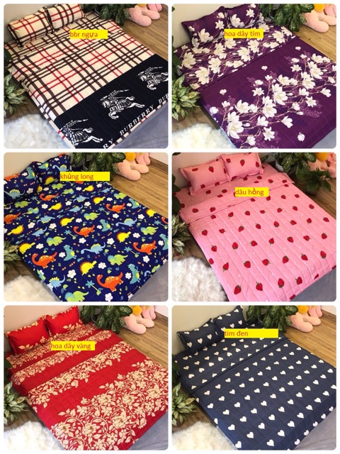 SET GA VÀ 2 VỎ GỐI COTTON POLY 1M8X2M (CHAT CHỌN MẪU) | BigBuy360 - bigbuy360.vn