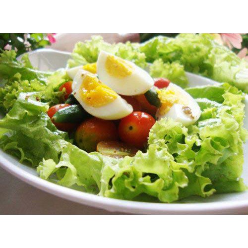 2 Gram Hạt giống rau Xà Lách Búp- Giòn ngọt, Làm salad rau trộn ngon, an toàn