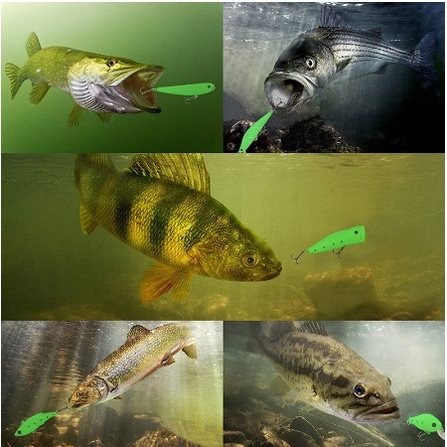 Silicone Mồi Câu Cá Giả Hình Chữ T Phát Quang Bằng Silicon