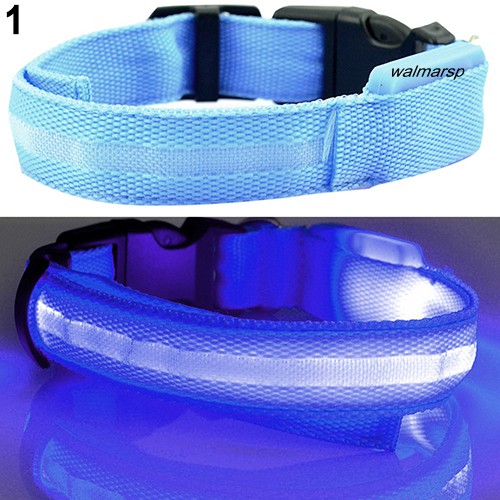 Vòng cổ đính đèn LED có thể điều chỉnh cho thú cưng