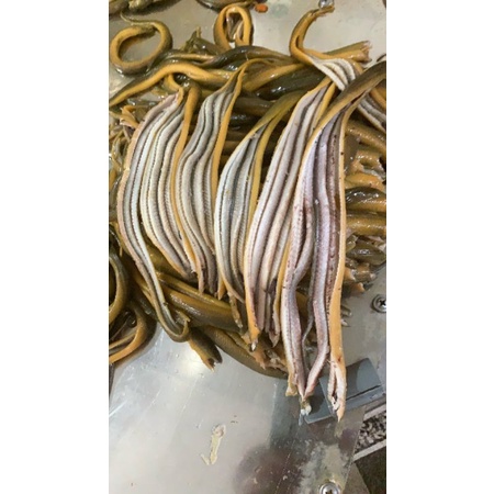500gr Lươn đồng làm sẵn lọc thịt - Tặng kèm nước cốt xương lươn