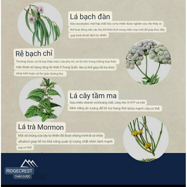 [ Date 8/2025] Viên uống hỗ trợ viêm xoang , nghẹt mũi Sinus Clear của RIDGECREST HERBALS 60 viên